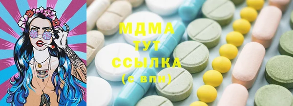 шишки Бородино