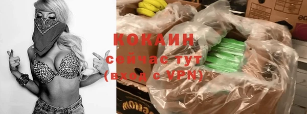 шишки Бородино