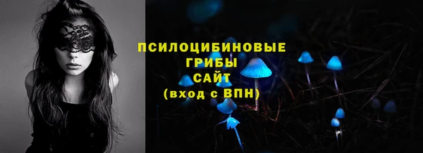 бошки Богородск