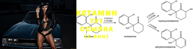 соль курить ск Богородицк