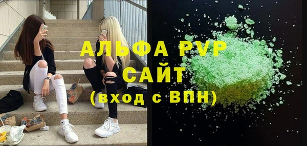 шишки Бородино