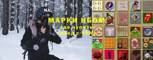 шишки Бородино