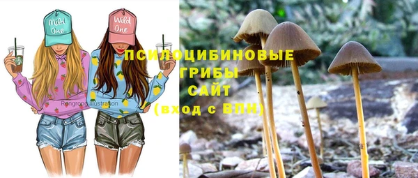 бошки Богородск
