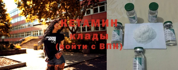 шишки Бородино