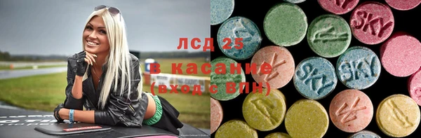 шишки Бородино