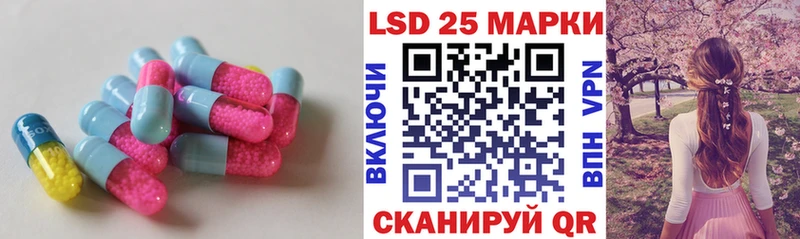 omg ссылка  Котельнич  Лсд 25 экстази ecstasy 